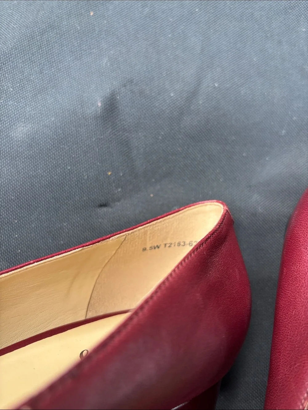 Trotters sleek pointed